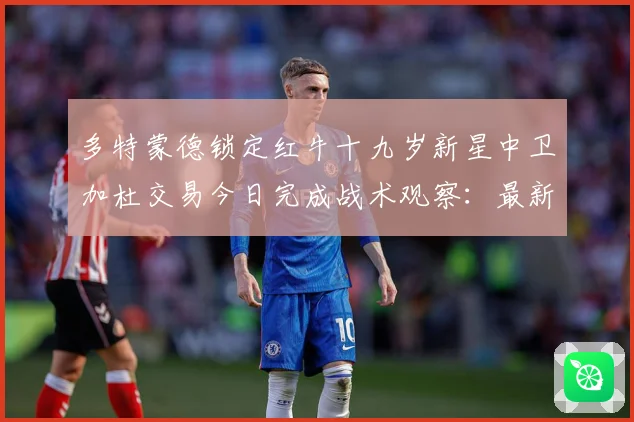多特蒙德锁定红牛十九岁新星中卫加杜交易今日完成战术观察：最新赛事动态与深度分析