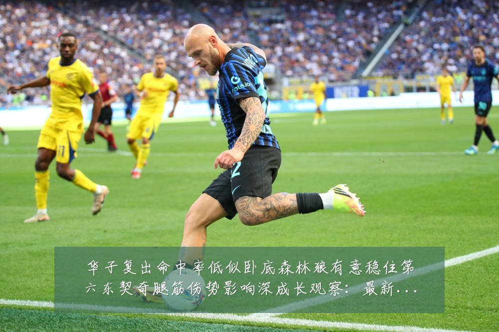 华子复出命中率低似卧底森林狼有意稳住第六东契奇腿筋伤势影响深成长观察:最新赛事动态与深度分析